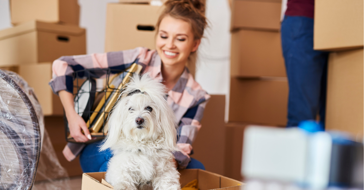 Woman smiling while packing boxes with a small white dog sitting in an open cardboard box during a move