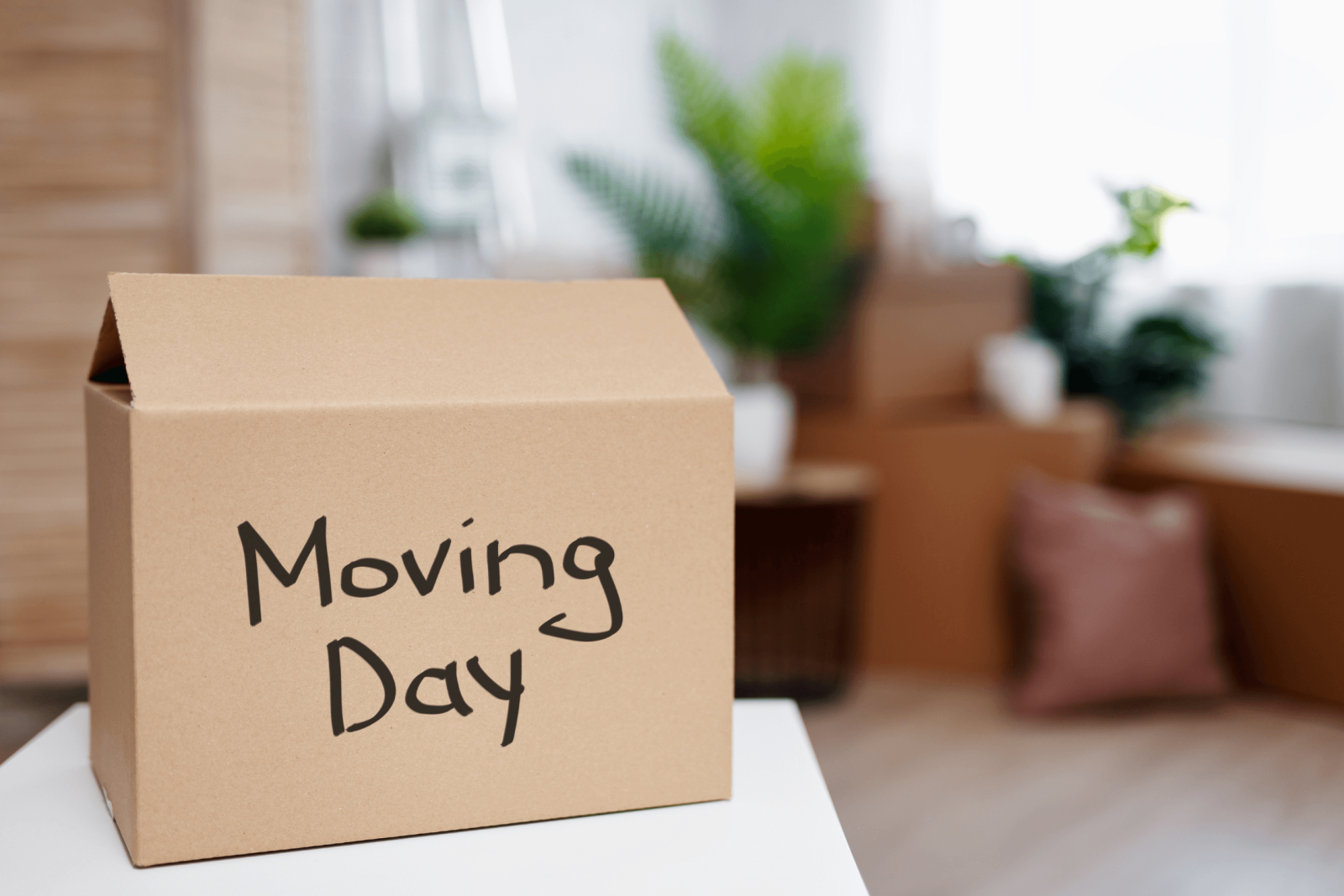 A moving that has 'Moving day' written on it, with a room with plants and furniture in the background