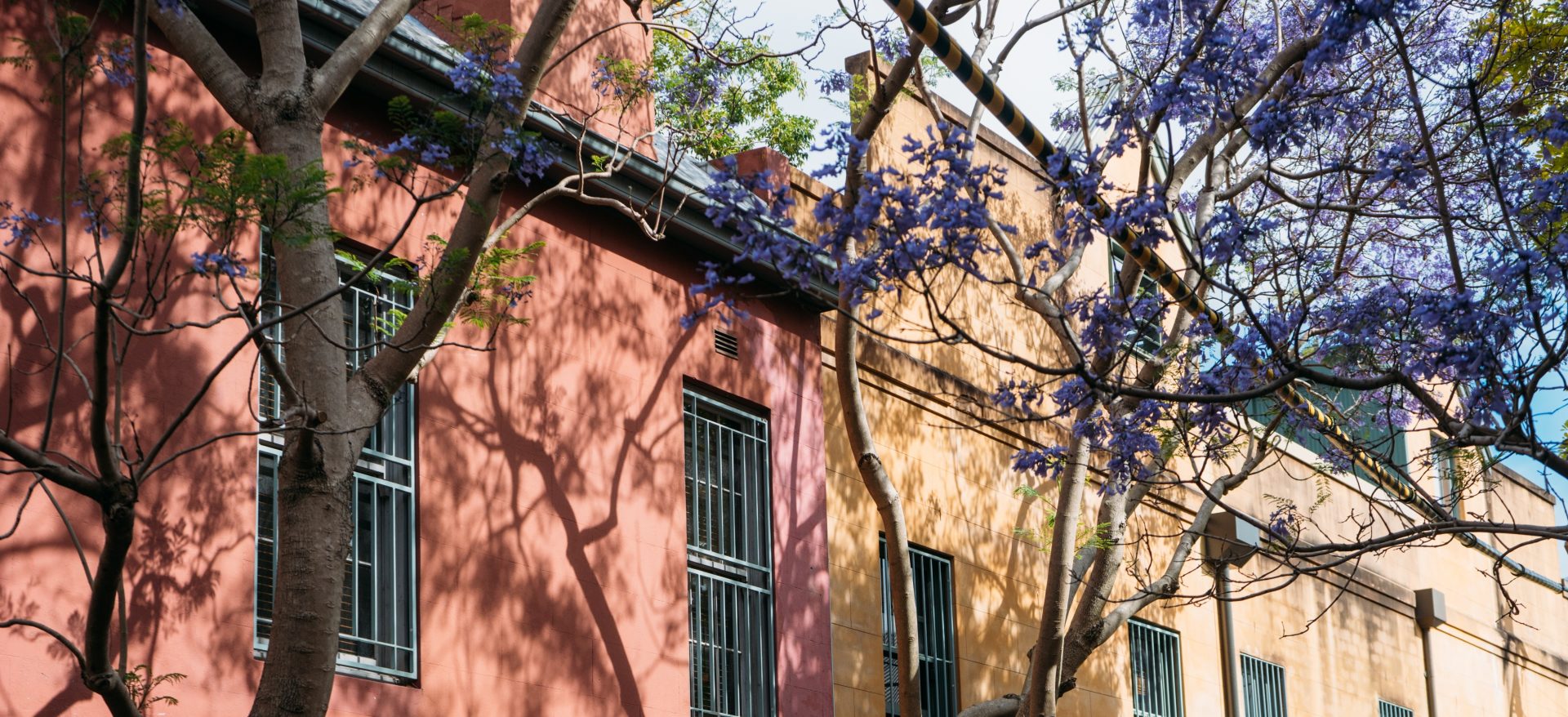 Colourful home facades